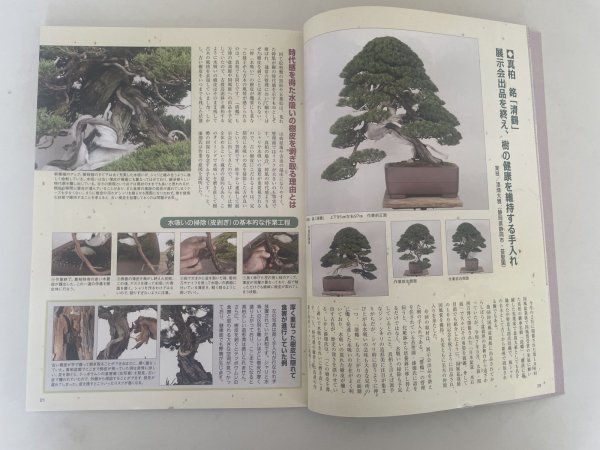Photo2: No.Kinbon Sea  Kinbon subscription by sea Annual subscription ( 12 copies ) Postage by sea (2)