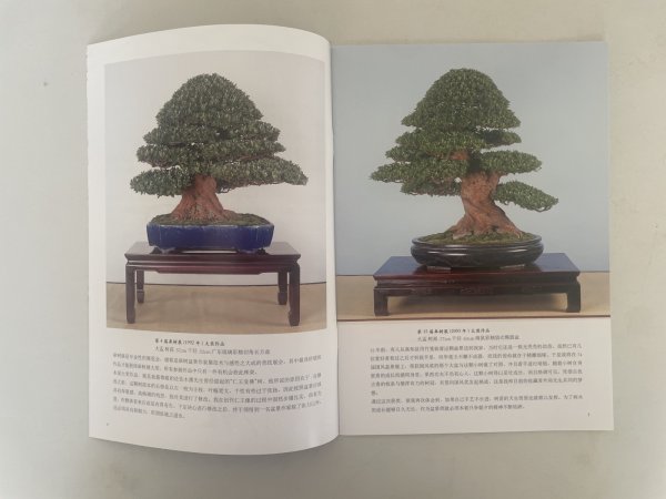 Photo3: No. KK-1  Kunio Kobayashi Satuski Bonsai book (3)