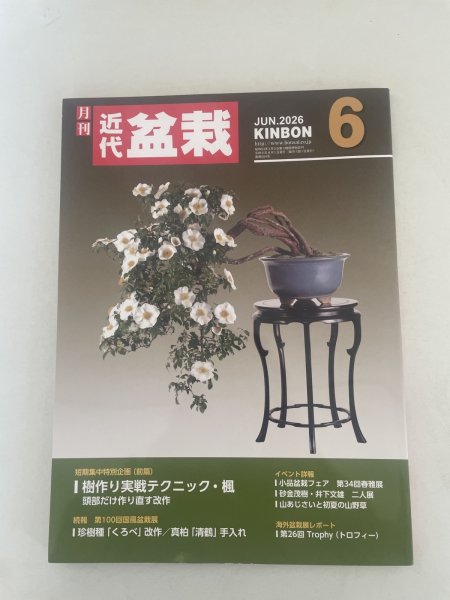 Photo1: No.Kinbon Sea  Kinbon subscription by sea Annual subscription ( 12 copies ) Postage by sea (1)
