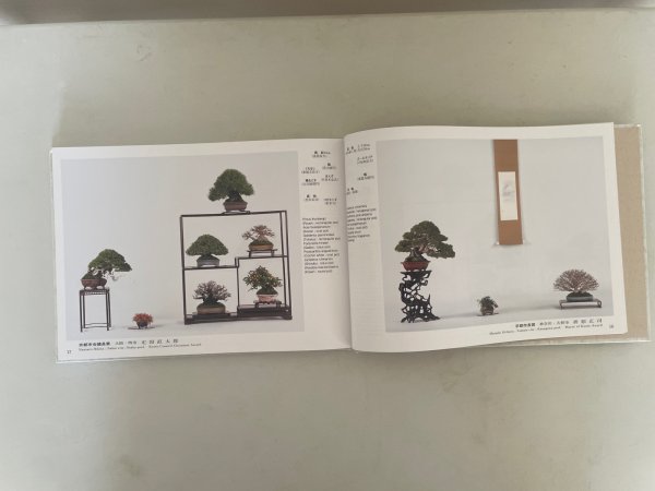 Photo3: No.GF album 51   Gafu ten book No.51 (2026) (3)