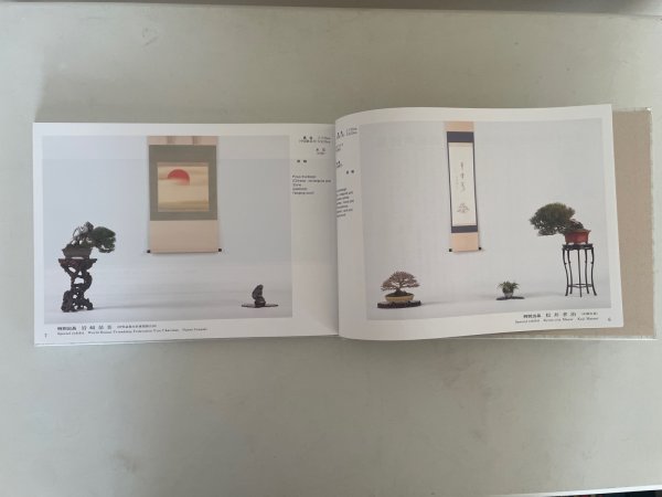 Photo2: No.GF album 51   Gafu ten book No.51 (2026) (2)