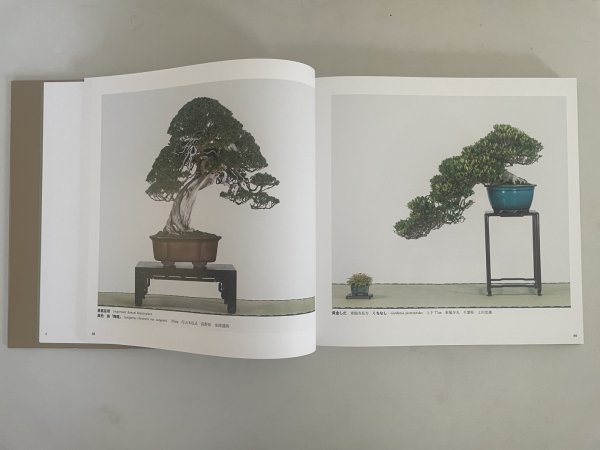 Photo4: No.KF100   Kokufu album 2026 (Total page 400) (4)