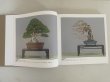 Photo5: No.KF100   Kokufu album 2026 (Total page 400) (5)