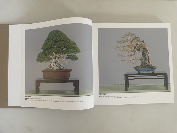 Photo5: No.KF100   Kokufu album 2026 (Total page 400) (5)