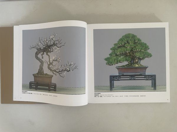 Photo6: No.KF100   Kokufu album 2026 (Total page 400) (6)