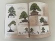 Photo2: No.Kinbon Sea  Kinbon subscription by sea Annual subscription ( 12 copies ) Postage by sea (2)