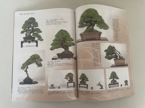 Photo2: No.Kinbon Sea  Kinbon subscription by sea Annual subscription ( 12 copies ) Postage by sea (2)