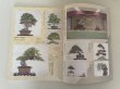 Photo3: No.Kinbon Sea  Kinbon subscription by sea Annual subscription ( 12 copies ) Postage by sea (3)