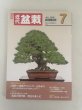 Photo1: No.Kinbon Sea  Kinbon subscription by sea Annual subscription ( 12 copies ) Postage by sea (1)