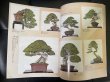 Photo2: No.Kinbon Air  Kinbon subscription by airmail Annual subscription (12 copies) Postage by airmail (2)