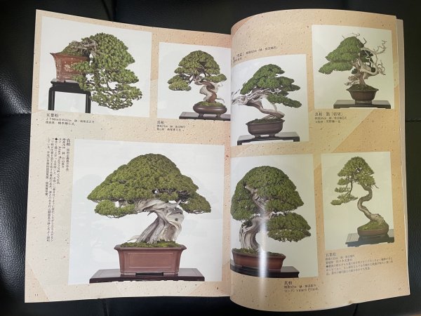 Photo2: No.Kinbon Air  Kinbon subscription by airmail Annual subscription (12 copies) Postage by airmail (2)