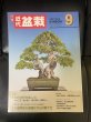 Photo1: No.Kinbon Air  Kinbon subscription by airmail Annual subscription (12 copies) Postage by airmail (1)