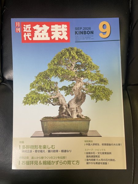 Photo1: No.Kinbon Air  Kinbon subscription by airmail Annual subscription (12 copies) Postage by airmail (1)