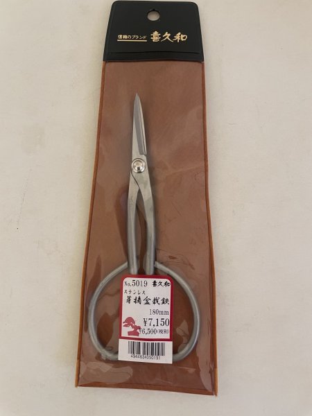 Photo1: No.TB1003  Stainless bud trimming shears (1)