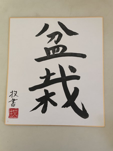 Photo1: No.TB1002  Caligraphy paper Bonsai" (1)