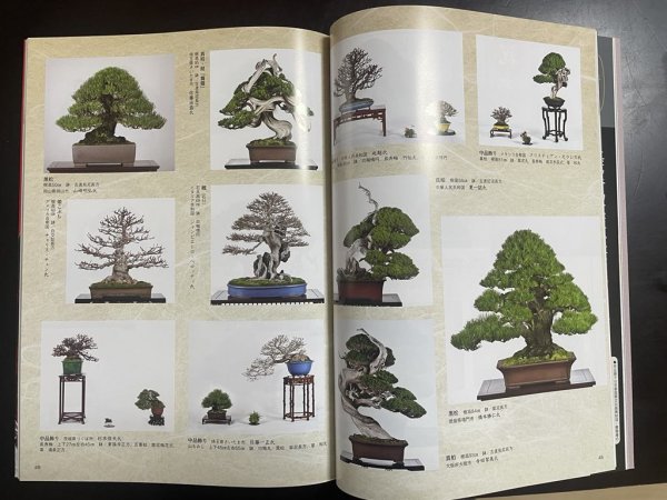 Photo1: No.Kinbon Air  Kinbon subscription by airmail Annual subscription (12 copies) Postage by airmail (1)