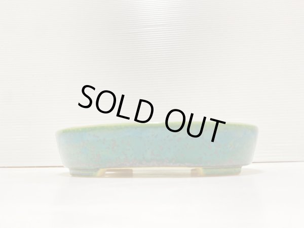 Photo2: No.DA41205 koyo (2)