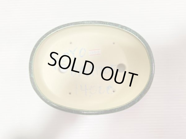 Photo3: No.DA41205 koyo (3)