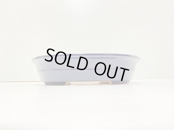 Photo2: No.DA41207 Reiho (2)