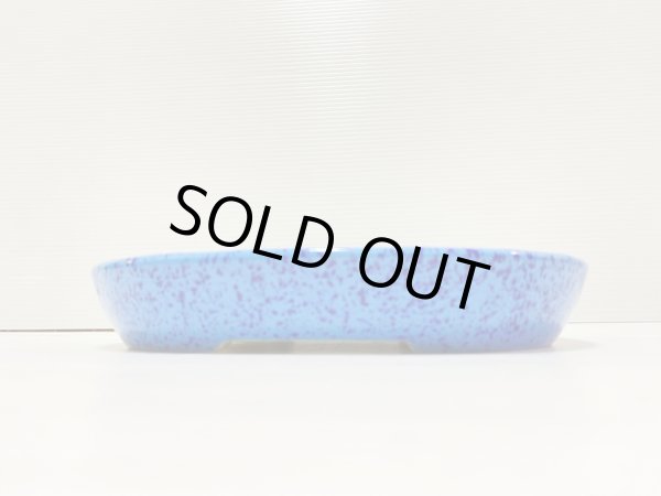 Photo2: No.DA41208 koyo (2)