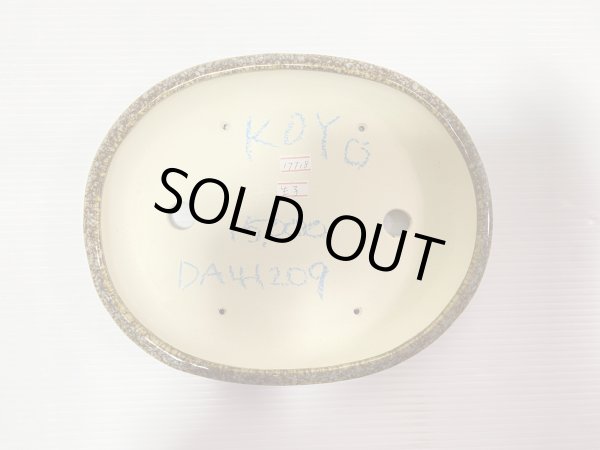 Photo3: No.DA41209 koyo (3)