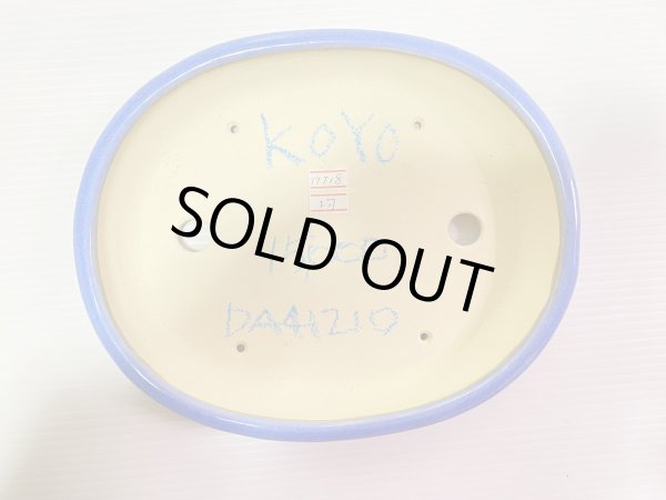 Photo3: No.DA41210 koyo (3)