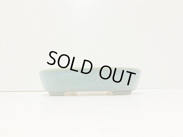 Photo2: No.DA41213 koyo (2)