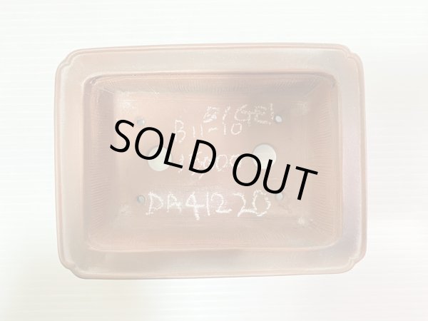 Photo3: No.DA41220 Bigei (3)