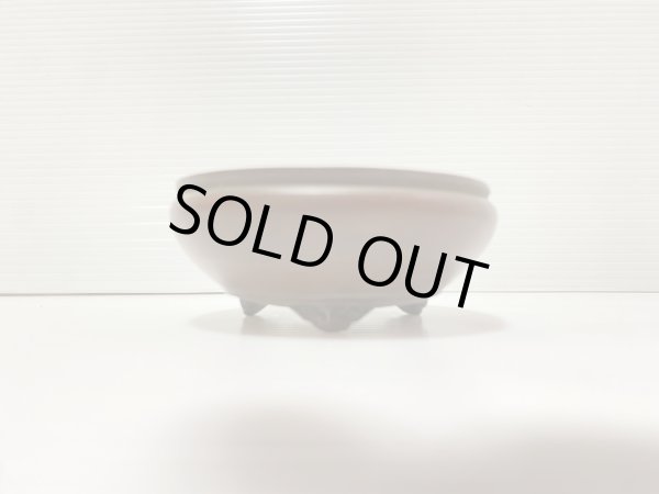 Photo2: No.DA41229 Bigei (2)