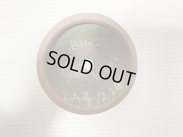 Photo4: No.DA41229 Bigei (4)