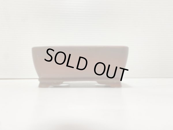 Photo2: No.DA41230 Bigei (2)