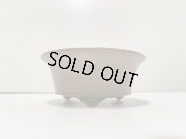 Photo2: No.DA41231 Bigei (2)