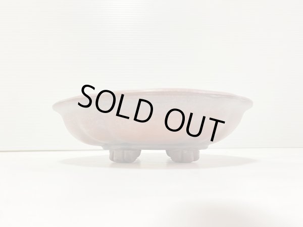 Photo2: No.DA41232 Bigei (2)