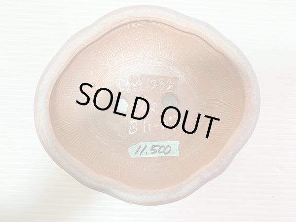 Photo3: No.DA41232 Bigei (3)