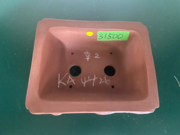 Photo2: No.KA4426 Koho (2)