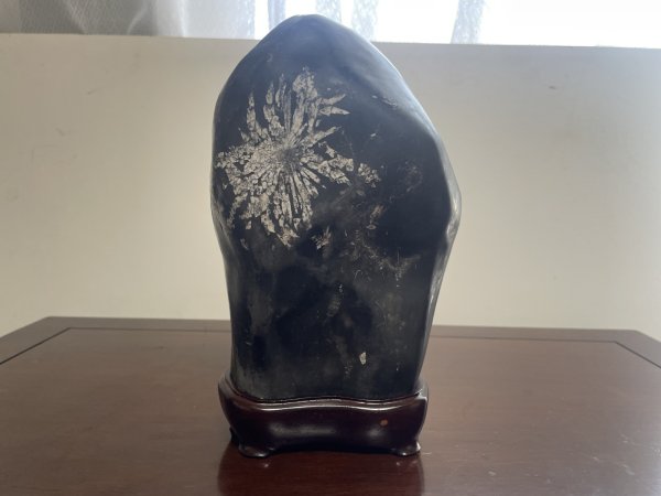 Photo1: No.SA6828  Kikka ishi (1)