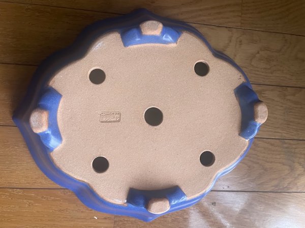 Photo3: No.KA4443 Reiho (3)