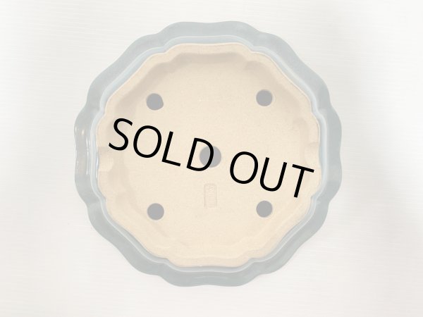 Photo4: No.DA5404 Reiho (4)