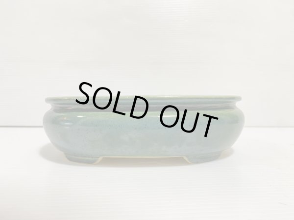 Photo2: No.DA5407 koyo (2)