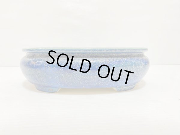 Photo2: No.DA5408 koyo (2)