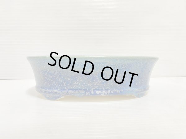 Photo2: No.DA5411 koyo (2)