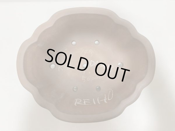 Photo4: No.DA5428 Reiho (4)