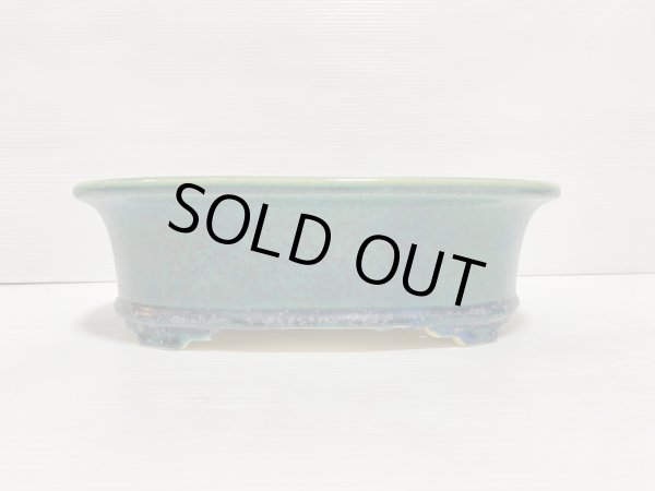 Photo2: No.DA5433 koyo (2)