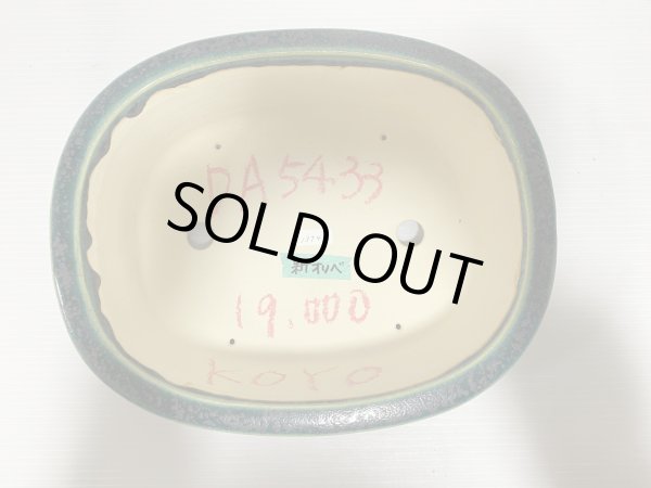 Photo4: No.DA5433 koyo (4)