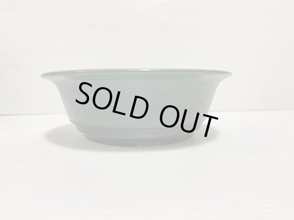 Photo2: No.DA5434 koyo (2)