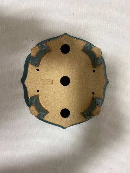 Photo5: No.DA5437 Reiho (5)