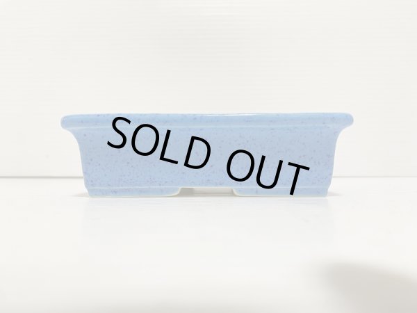 Photo2: No.DA5439 koyo (2)