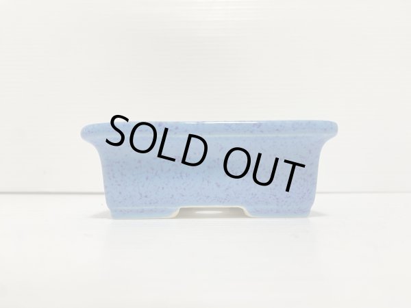 Photo3: No.DA5439 koyo (3)