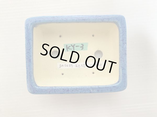 Photo4: No.DA5439 koyo (4)