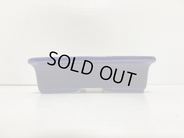 Photo2: No.DA5440 koyo (2)